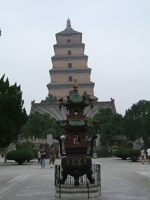 The wild good pagoda - xi'an